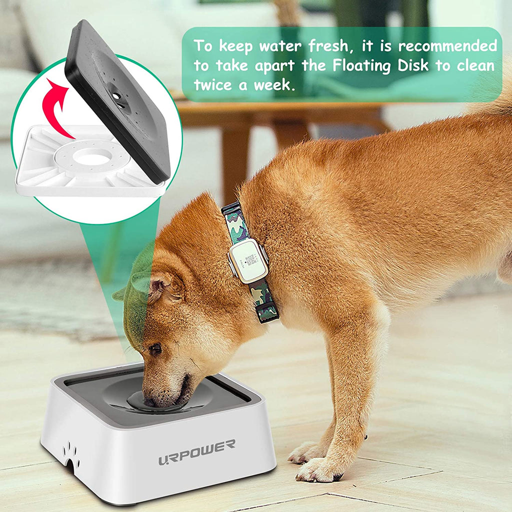 2L Dog Water Bowl 70Oz Large Capacity No Spill Dog Bowl Cat Water Bowl with Eco-Friendly Material Slow Water Feeder Pet Water Dispenser Vehicle Carried Travel Water Bowl for Dogs, Cats & Pets